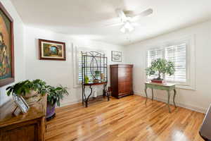 Living area with light wood-style floors, plenty of natural light, and a ceiling fan