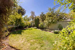 View of fenced backyard