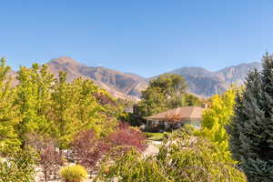 View of mountain background