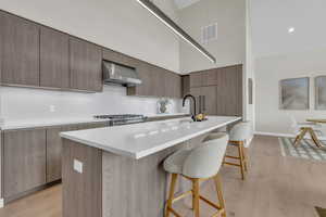 Kitchen with modern cabinets, a high ceiling, light wood finished floors, a kitchen bar, and recessed lighting