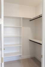 Walk in closet with light colored carpet