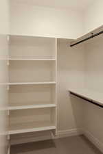 Spacious closet featuring light carpet