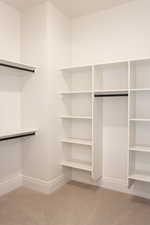 Spacious closet with light colored carpet