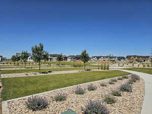 Surrounding community with a lawn and a residential view
