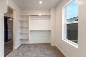 Spacious closet featuring light colored carpet