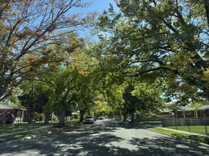 View of asphalt street with curbs and sidewalks