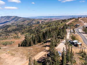 Drone / aerial view of a mountainous background
