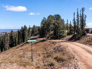 View of dirt / gravel road
