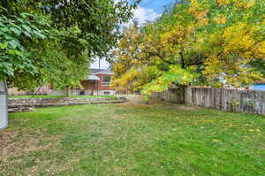 View of fenced backyard
