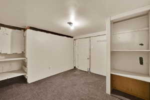 Below grade area featuring dark carpet