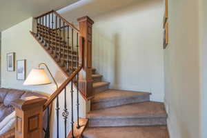 Stairway with carpet