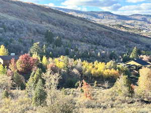 View of mountain background with a heavily wooded area
