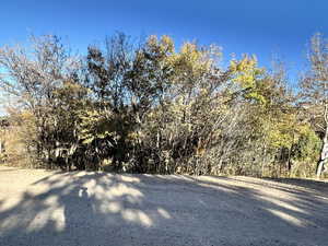 View of yard featuring a forest view
