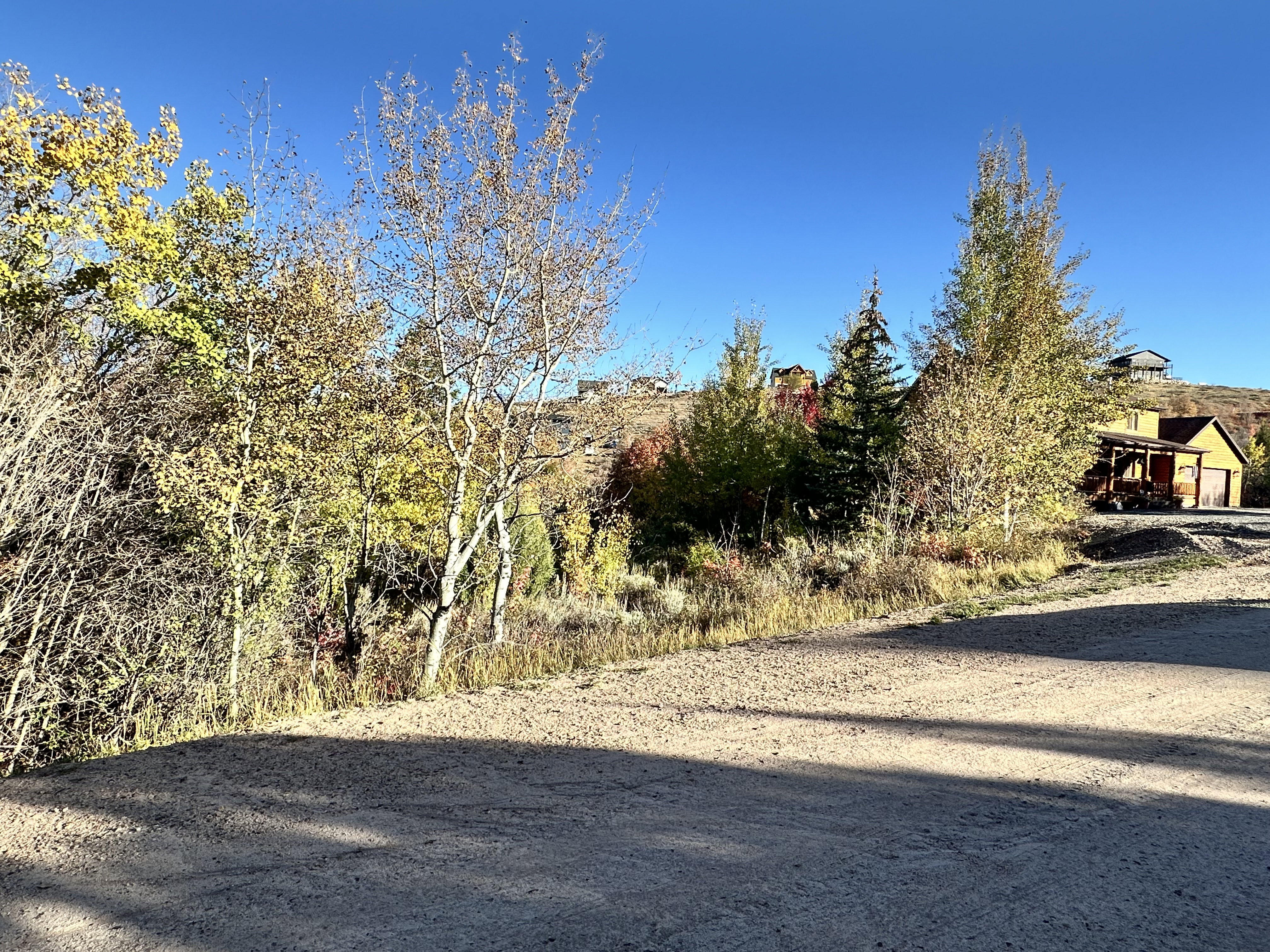 View of dirt / gravel road