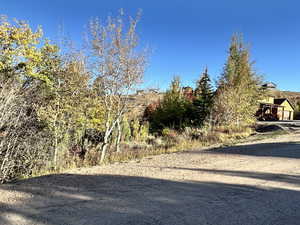 View of dirt / gravel road