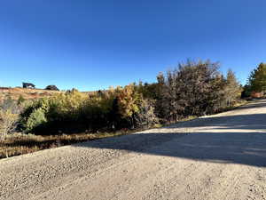 View of dirt / gravel road