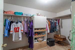 Spacious closet featuring light carpet