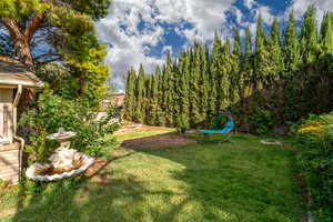 View of grassy yard with a trampoline