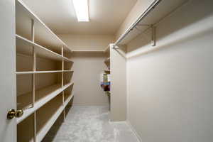 Spacious closet featuring light colored carpet
