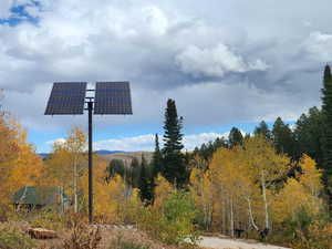 Exterior view of a heavily wooded area