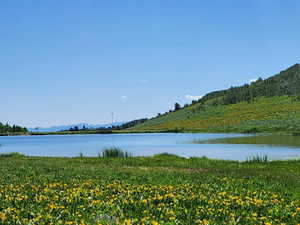 Water view featuring a forest