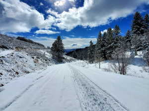 View of asphalt street