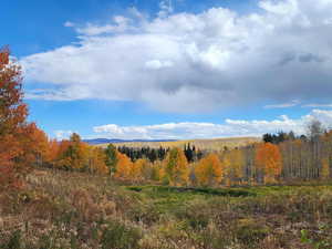 View of mountain background with a heavily wooded area