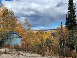 View of mountain backdrop with a forest