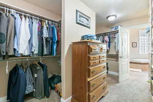 Spacious closet with light carpet