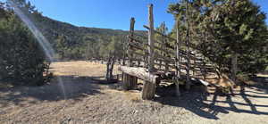 View of yard featuring a wooded view and a view of rural / pastoral area