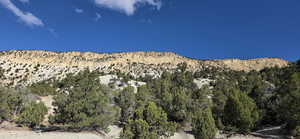 View of mountain background