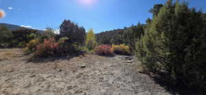 View of woods featuring a mountain view