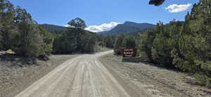View of dirt / gravel road with a mountain view and a wooded view