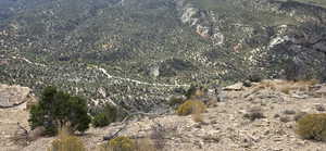 View of local wilderness featuring a mountain backdrop
