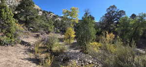 View of undeveloped land featuring a mountainous background