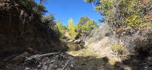 View of local wilderness
