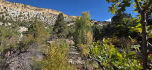 View of mountain background