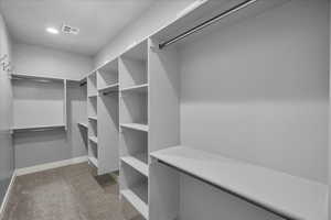 Spacious closet with light carpet