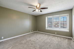 Empty room featuring carpet floors, a textured ceiling, and a ceiling fan