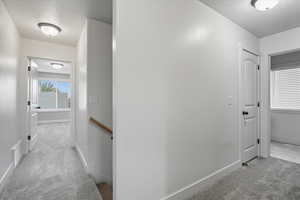 Hallway with light colored carpet, plenty of natural light, and an upstairs landing