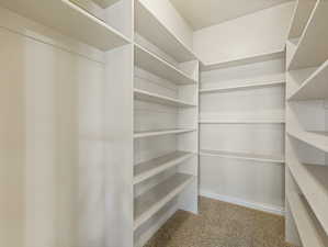 Walk in closet featuring light carpet