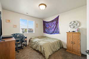 Bedroom featuring carpet floors