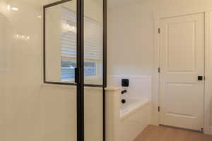 View of shower/Bathtub