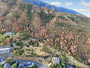 Bird's eye view of a mountain backdrop