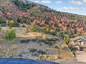 View of mountain backdrop featuring a forest