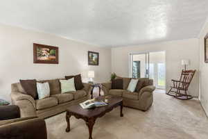 Living room with carpet flooring, a textured ceiling, and ornamental molding