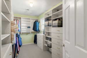 Primary bedroom with walk in closet