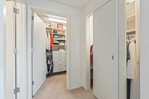 Walk in closet featuring light carpet