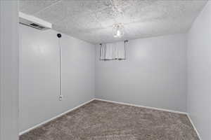 Empty room featuring carpet floors and a textured ceiling