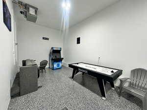 Game room with speckled floor